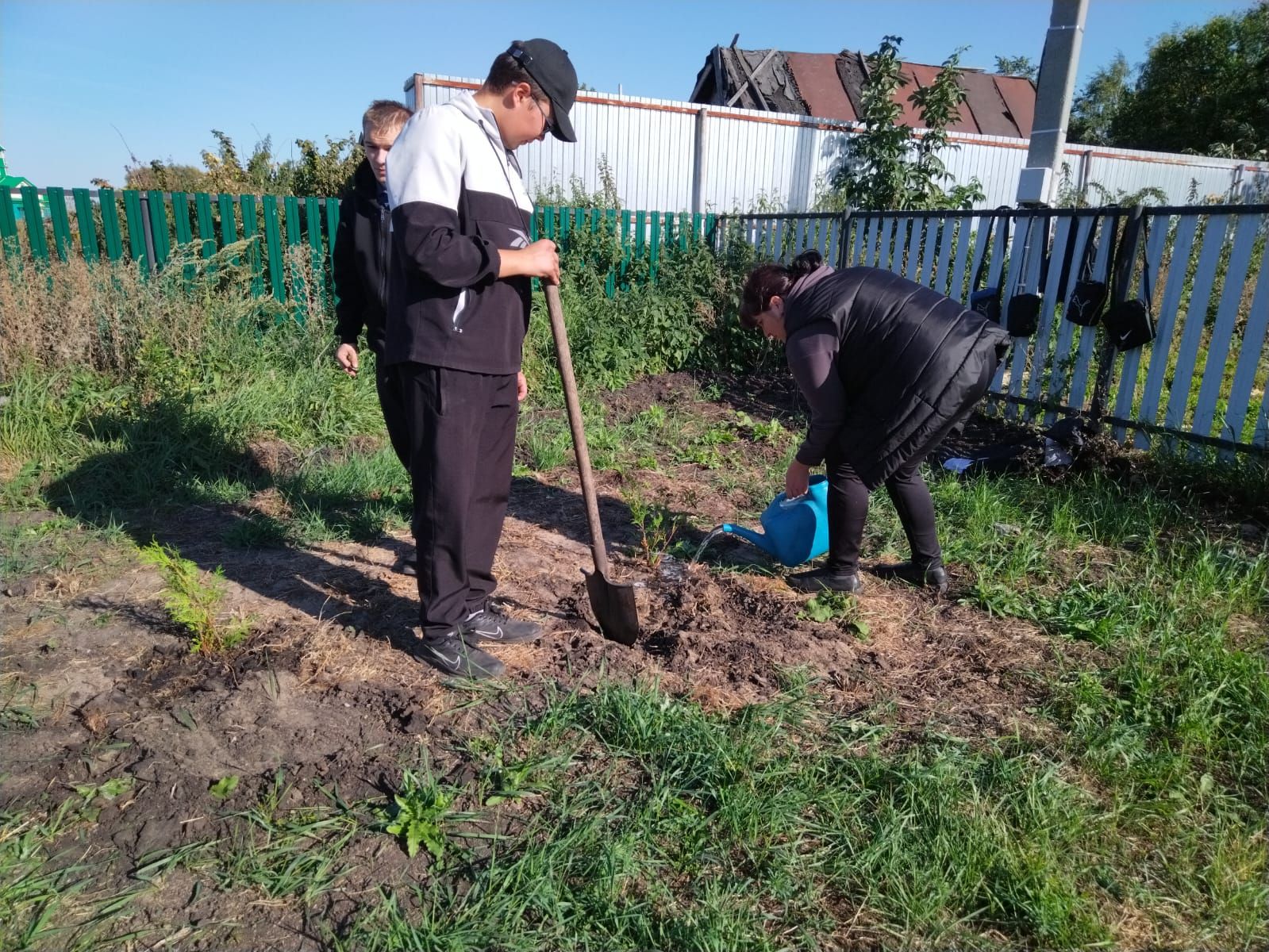 В Дрожжановском районе продолжается посадка деревьев