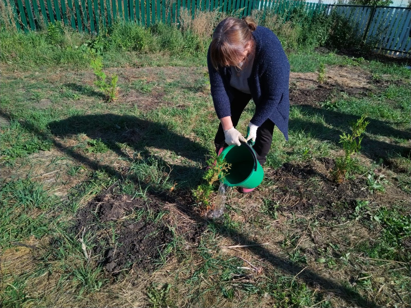 В Дрожжановском районе продолжается посадка деревьев