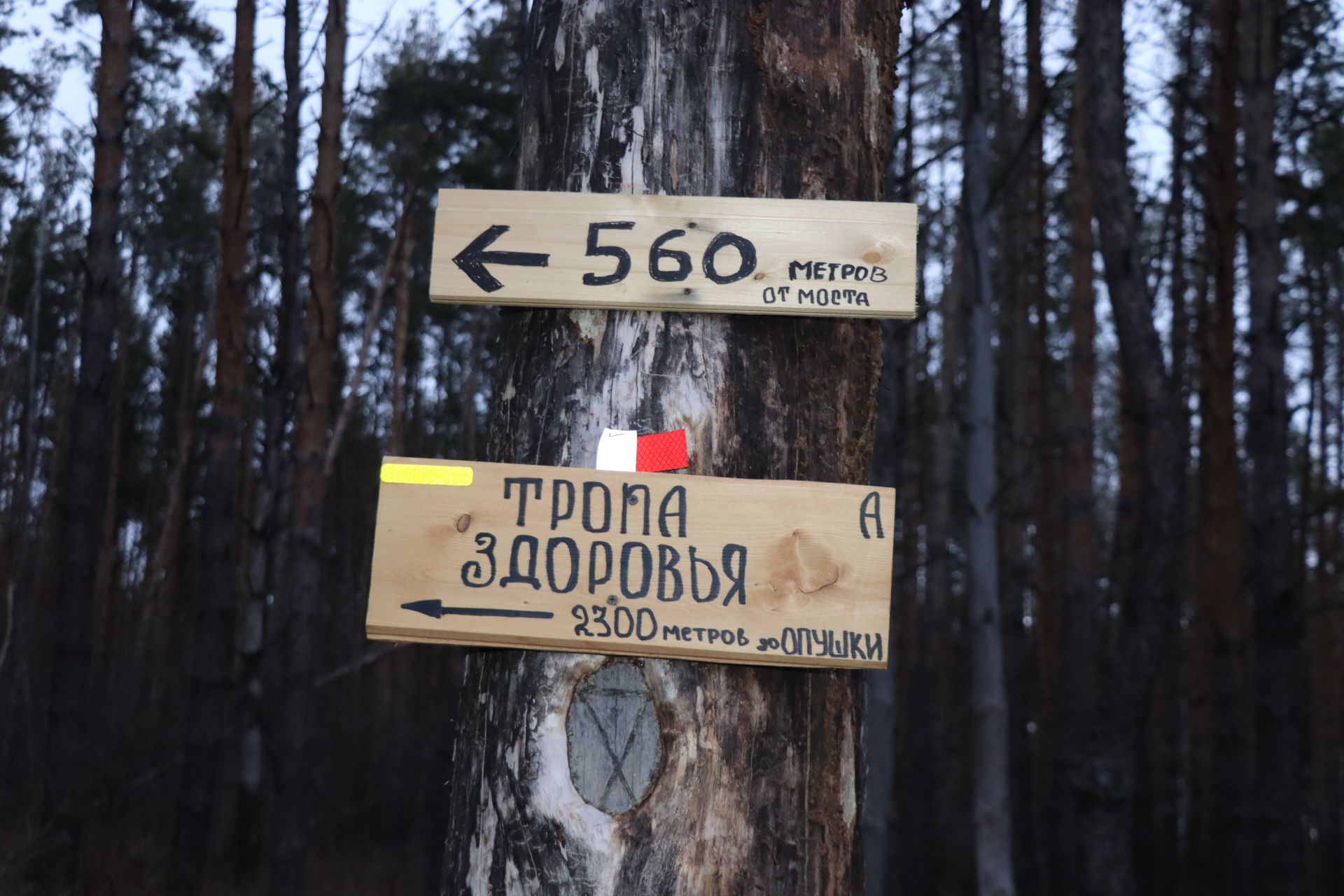 Матаксем сывлӑхӗсене ҫирӗплетеҫҫӗ