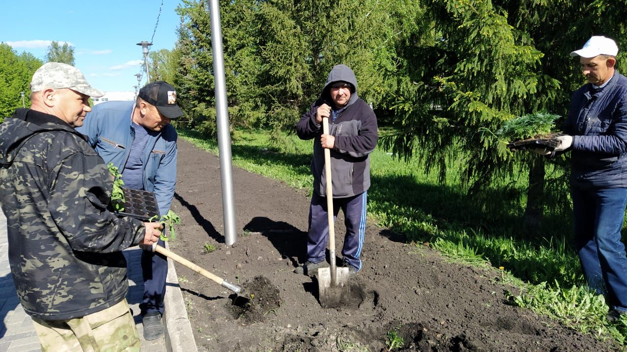 В Дрожжановском районе РТ началась посадка цветов