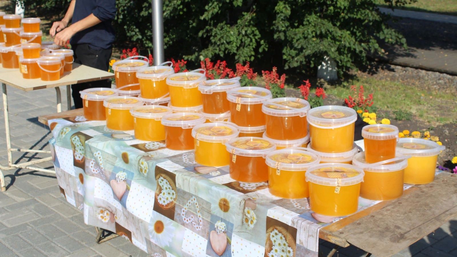 «Пыл ярмӑрккипе» пуҫланӗ