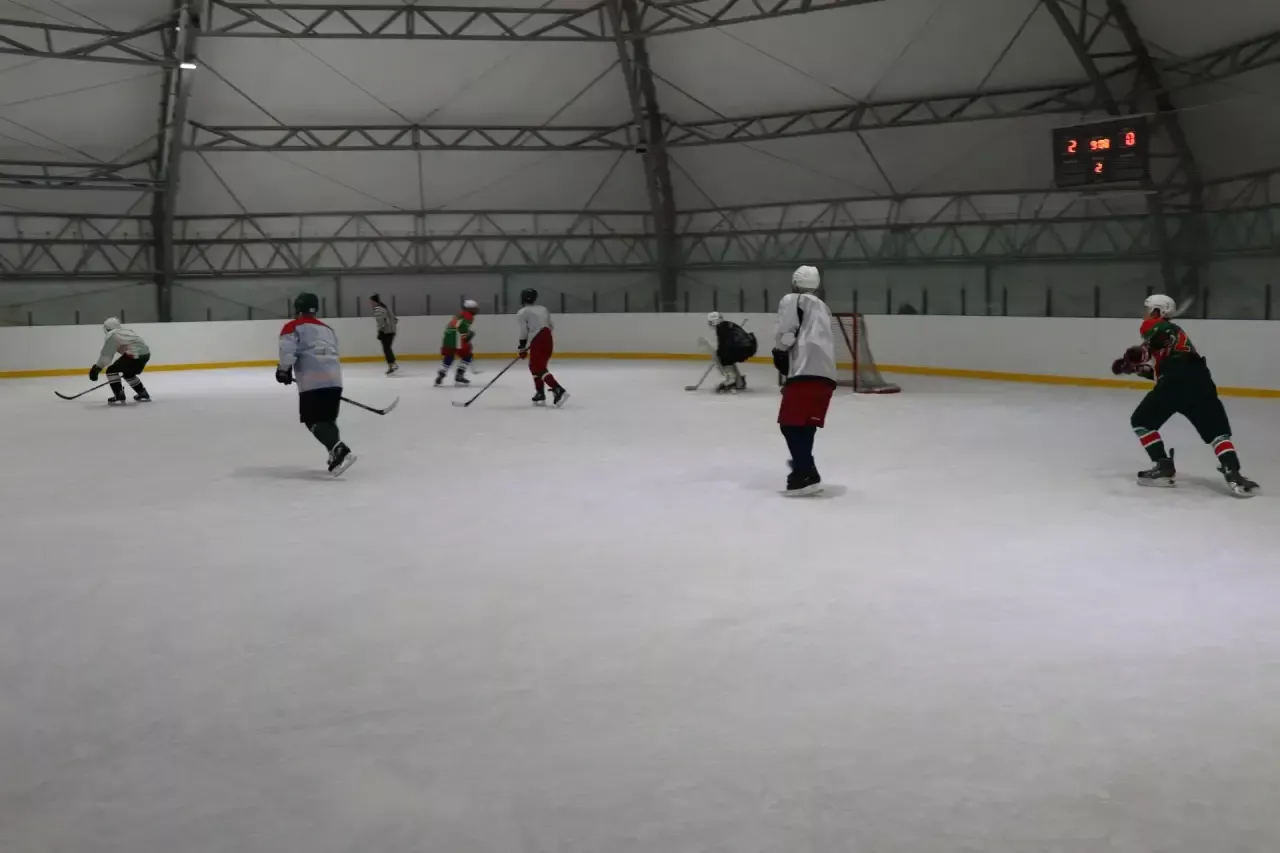 В Дрожжаном определены победители турнира по хоккею с шайбой среди организаций и учреждений района