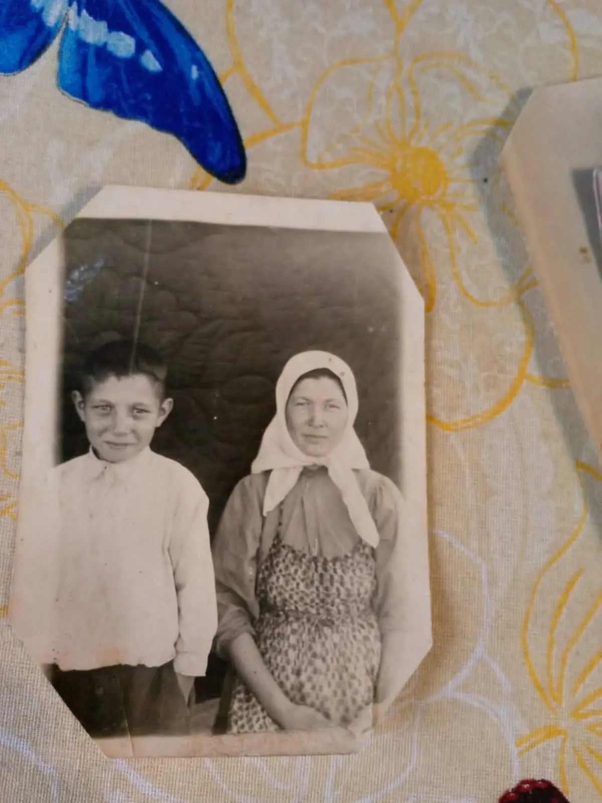 Жительница Красноярского края разыскивает родственников в Дрожжановском районе
