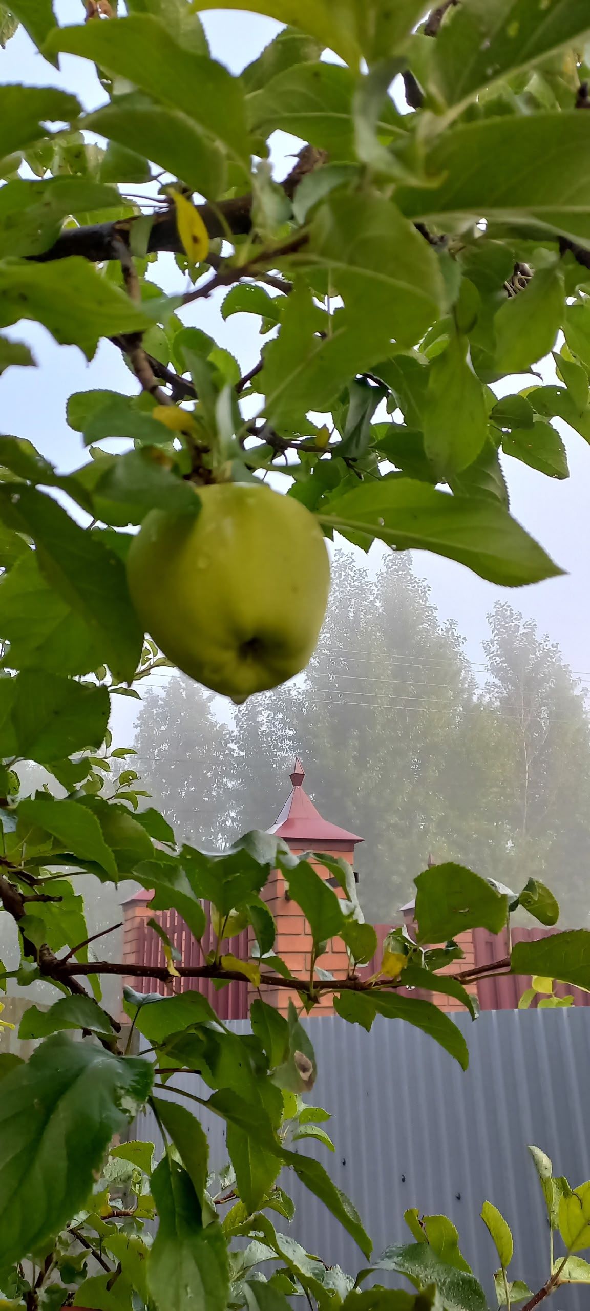 Ырă кун!