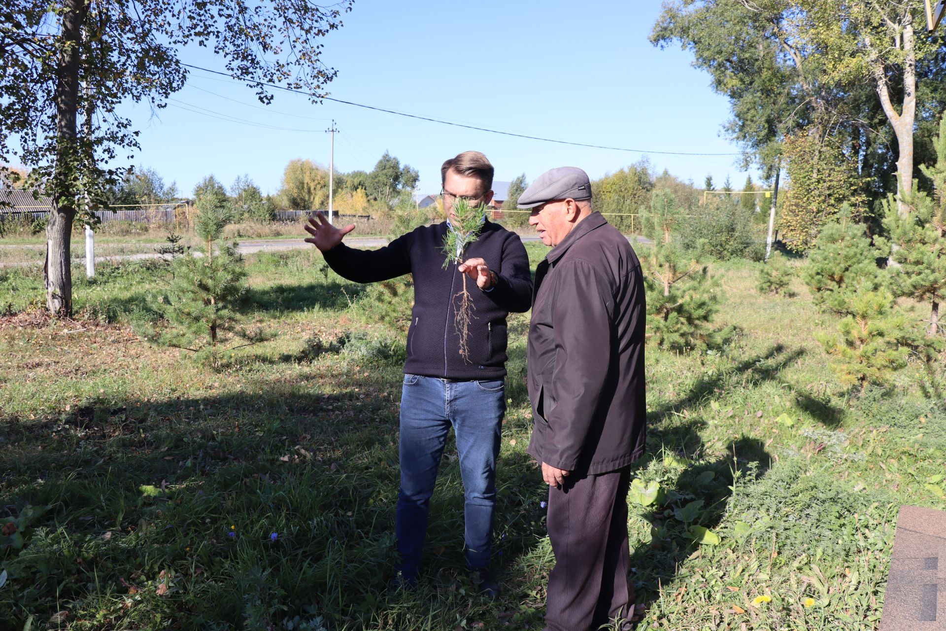 В Дрожжановском районе РТ организовали посадку деревьев