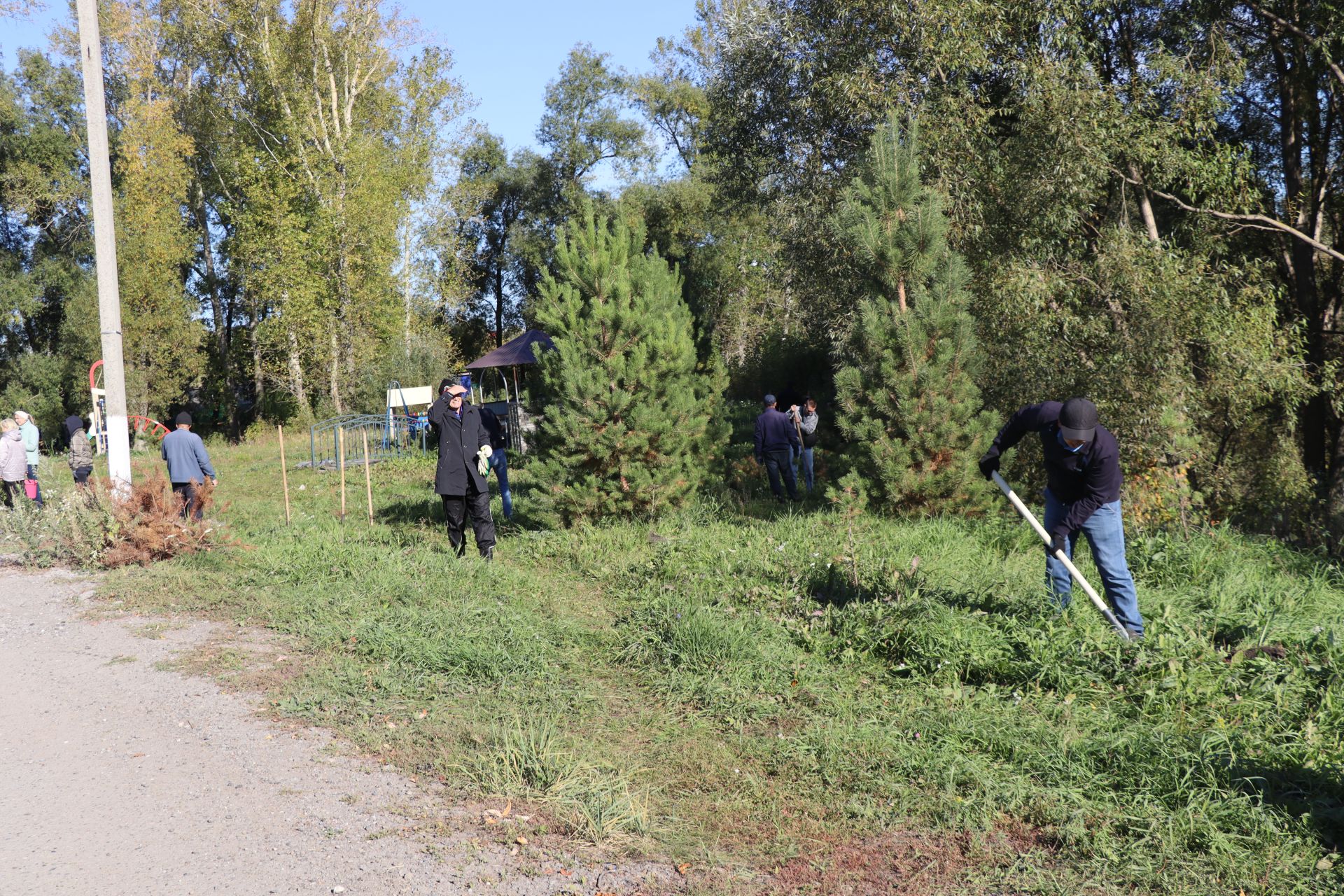 В Дрожжановском районе РТ организовали посадку деревьев