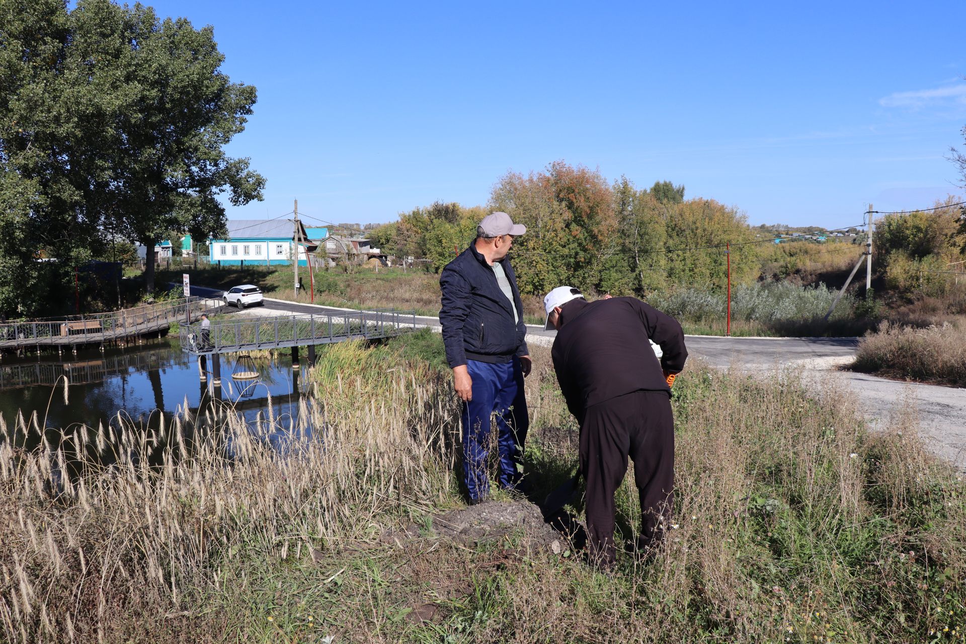 В Дрожжановском районе РТ организовали посадку деревьев