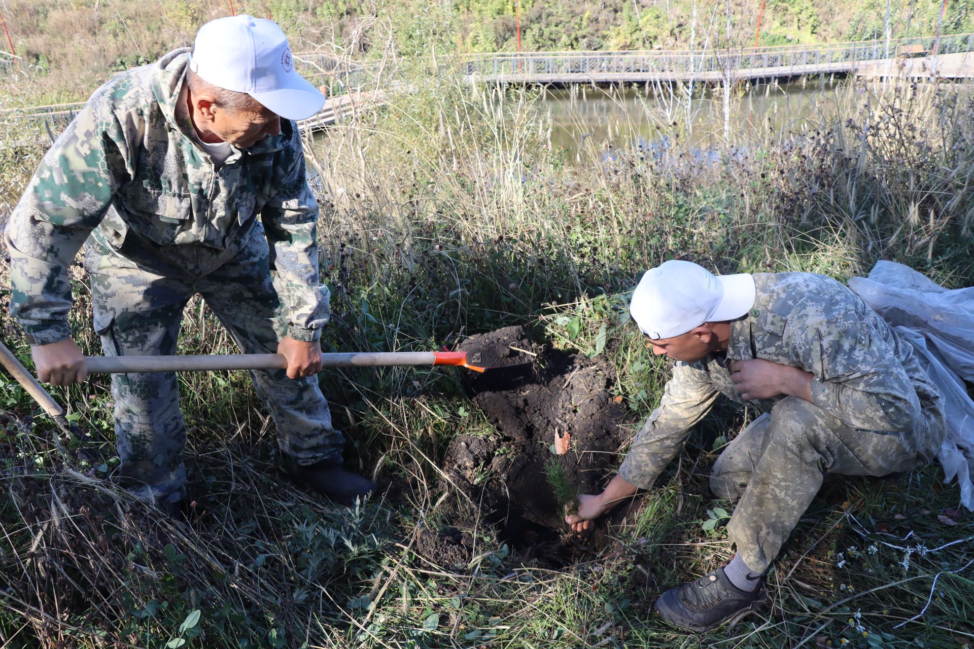 В Дрожжановском районе РТ организовали посадку деревьев