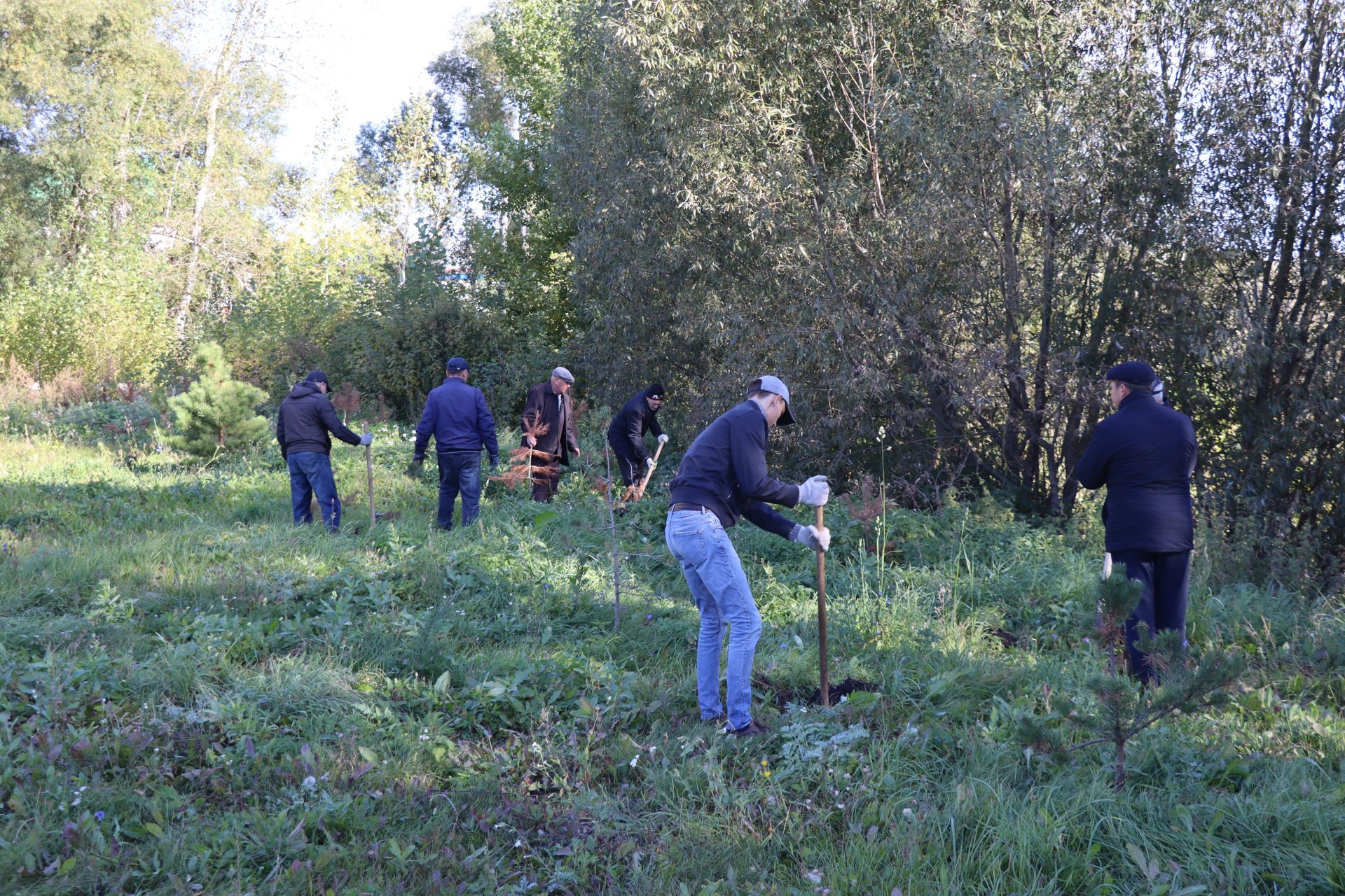 В Дрожжановском районе РТ организовали посадку деревьев