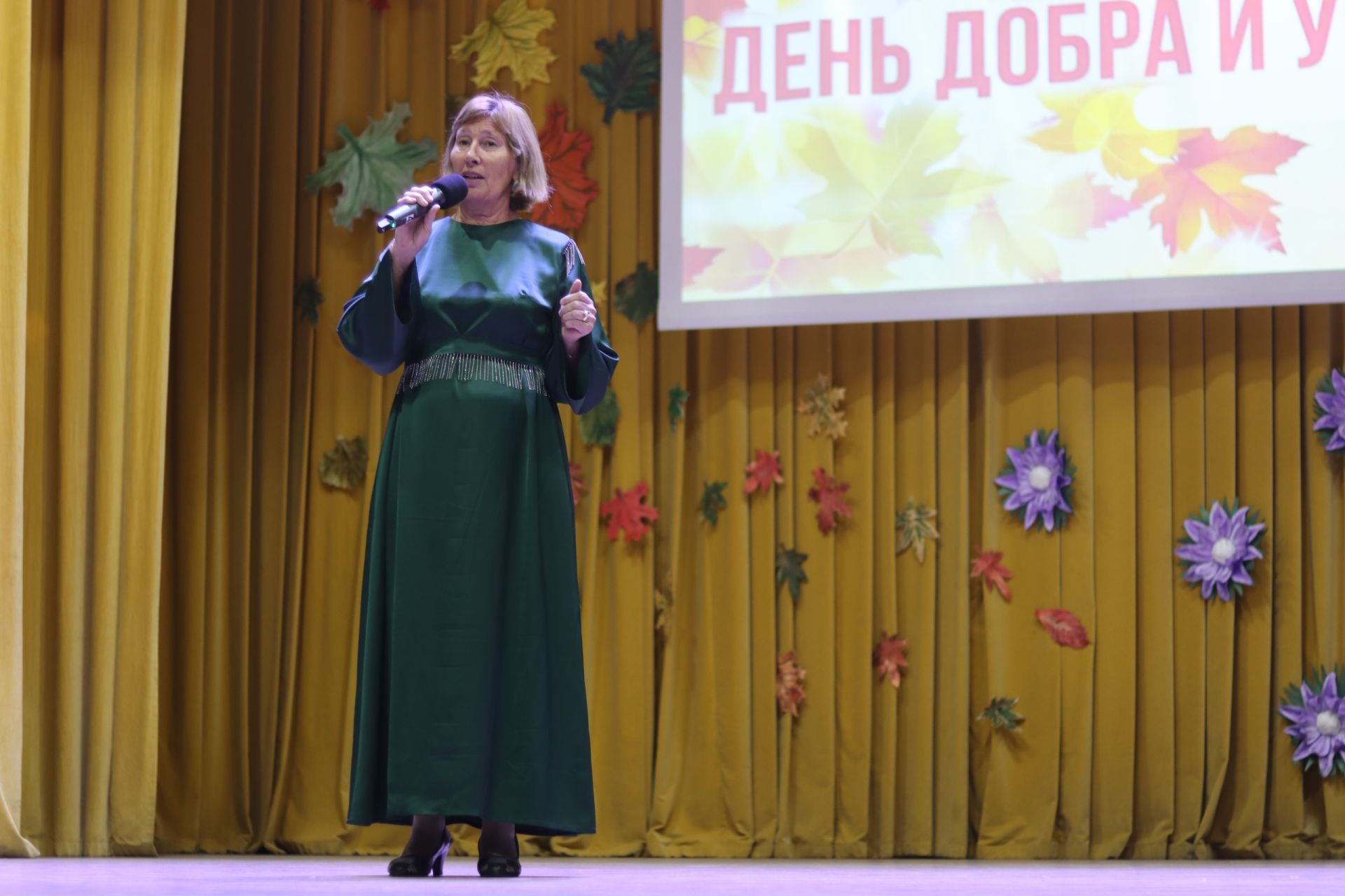 День пожилого человека в Дрожжановском районе -2026