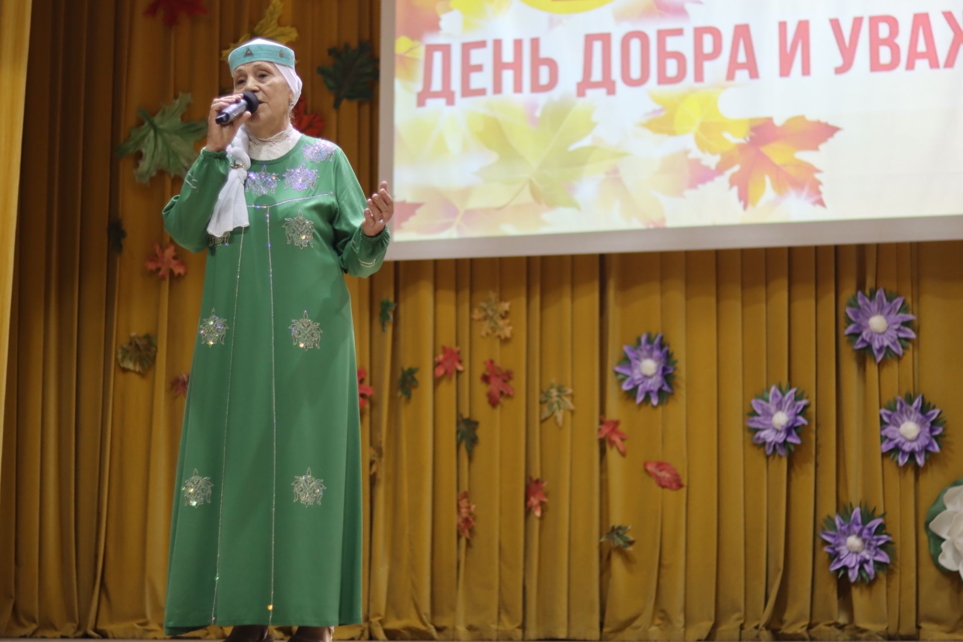 День пожилого человека в Дрожжановском районе -2026