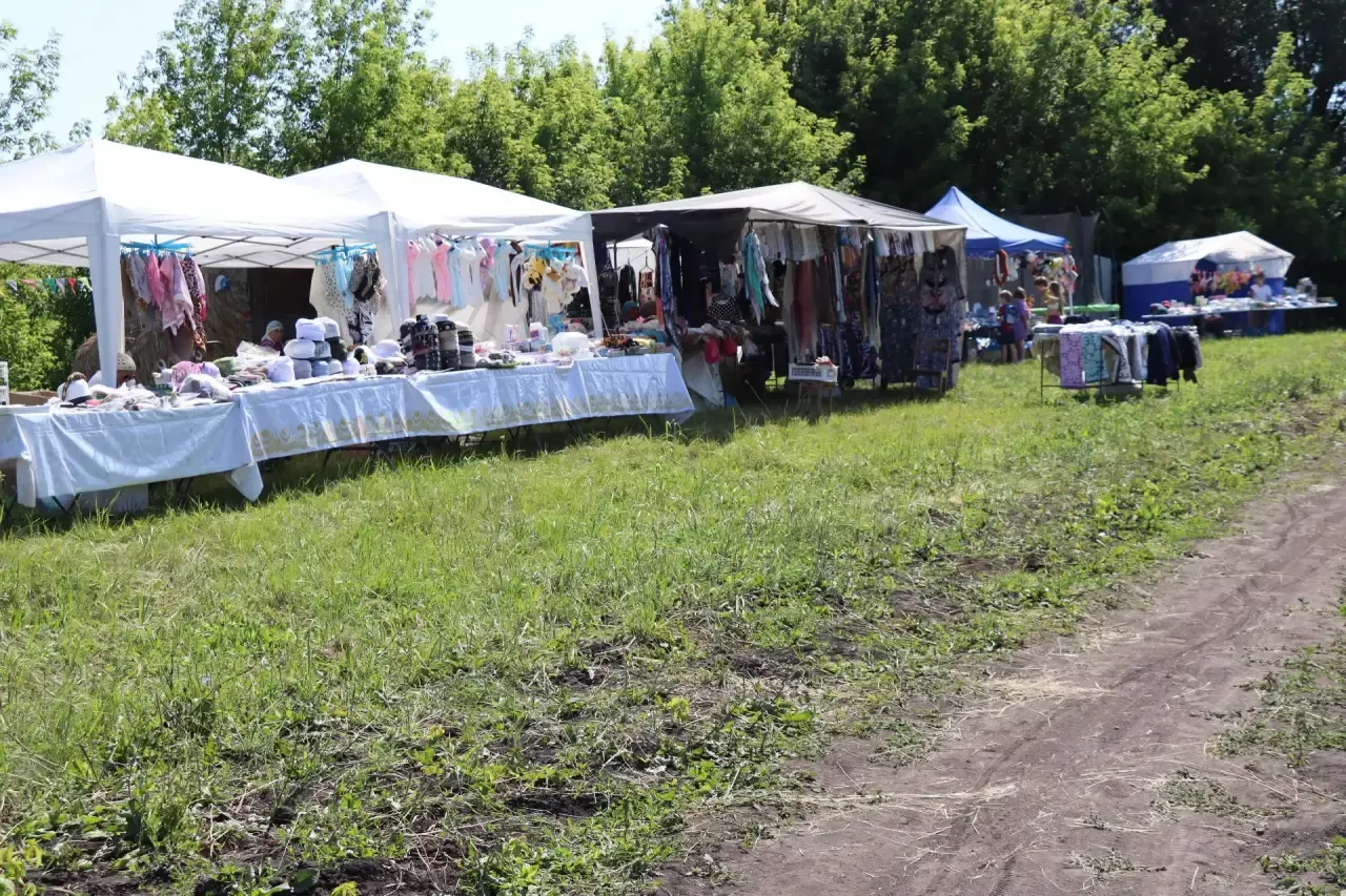Чтения Валиуллы Хасанова в Дрожжановском районе-2026