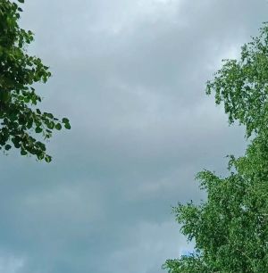 В Дрожжановском районе 14 июля объявлено штормовое предупреждение