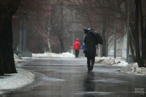 Погода в Дрожжановском районе