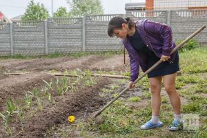 Июль в огороде: ловим окно возможностей для второго урожая