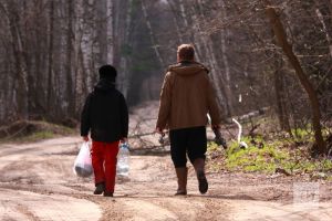 От укусов клещей в Татарстане пострадали почти 6 тысяч человек, у троих выявлен энцефалит