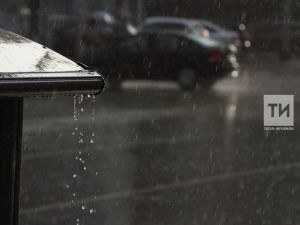 МЧС предупреждает: 15 июля в Дрожжановском районе — ливни, град, штормовой ветер и плотный туман