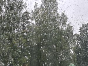 Синоптики предупредили о сильных дождях, ливнях, грозах и шквалистом ветре в Татарстане