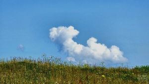 Июль в Татарстане завершится аномальной жарой: отклонение от нормы достигнет четырёх градусов