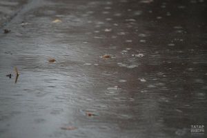 В Дрожжановском районе объявлено метеопредупреждение на 18 августа