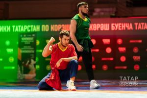 Сборная Татарстана поборется за золото финала «Профессионалов» в Калуге