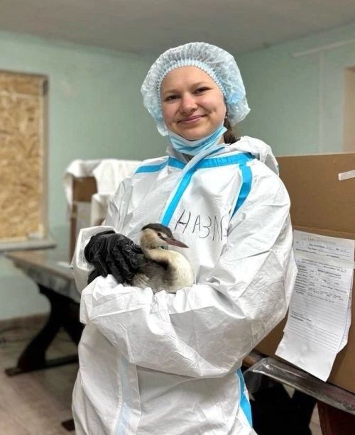 Выпускница Стародрожжановской школы № 1 Назлыгуль: волонтер, ветеринар с большим сердцем
