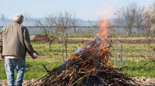 Сжигание мусора на даче: новые правила и штрафы до сотен тысяч рублей