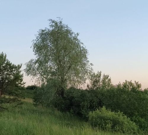 Ожидается ухудшение погоды в Татарстане