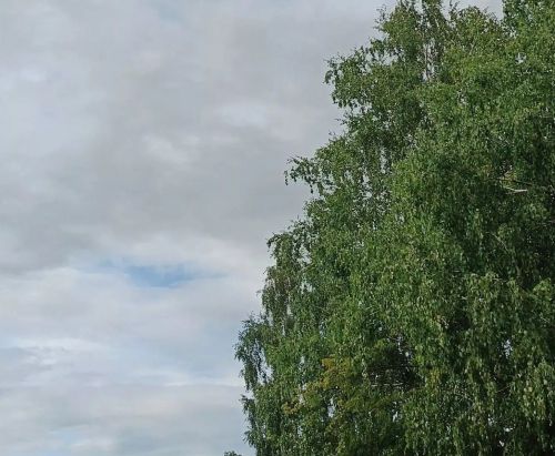 Сильный ветер ожидается в Дрожжаном днем 2 октября