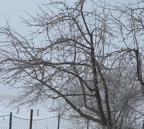 Синоптики предупредили жителей Татарстана о тумане