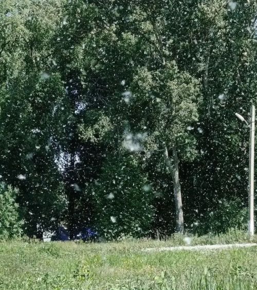 В Татарстане ожидаются грозы, град и шквалистый ветер