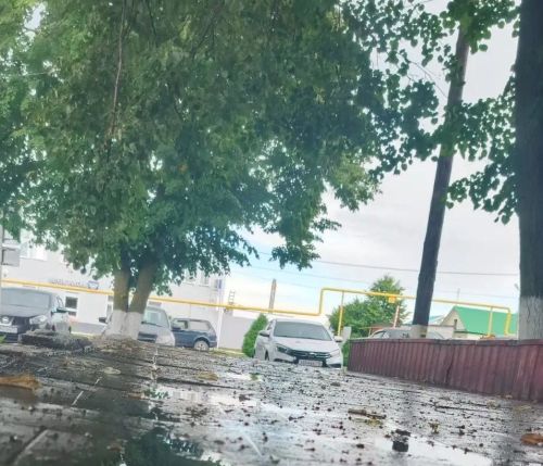 Грозы и град при жаре до +29° ожидаются в Дрожжановском районе на 23 июля