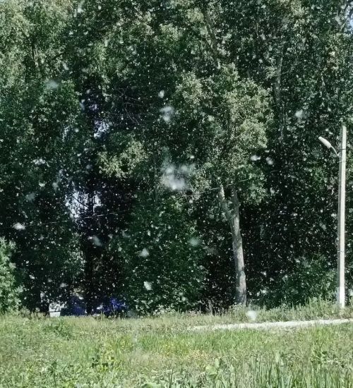 В Татарстане ожидаются грозы, сильный ветер и локальные ливни
