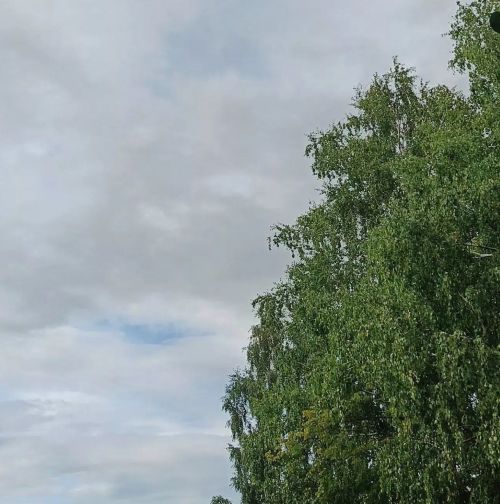 В Дрожжановском районе ожидаются дождь, гроза и ветер