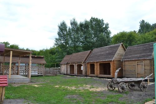 «Дружное подворье» в Дрожжановском районе