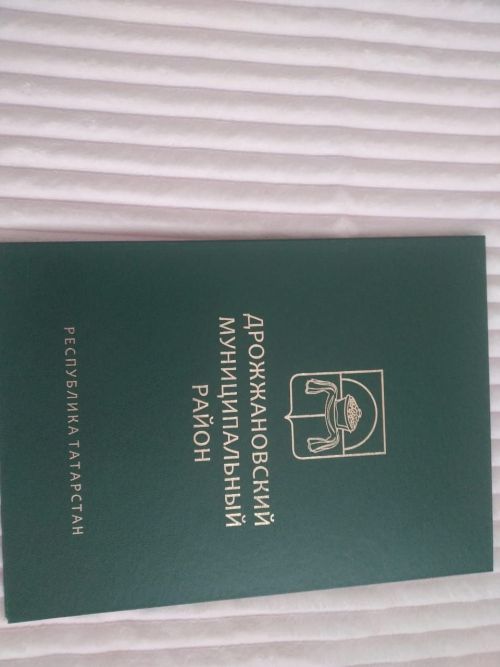 В день Матери жительнице Дрожжановского района вручили награду Министерства соцзащиты РТ