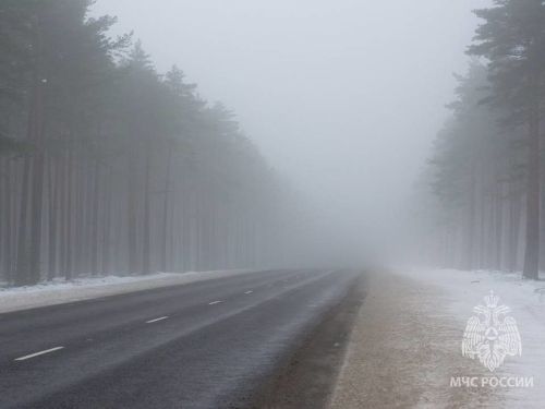 Ледяной дождь, туман и гололед ожидаются в Татарстане