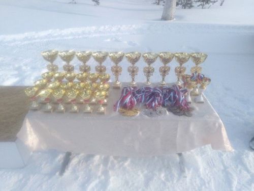 В селе Новые Убеи состоялись лыжные гонки памяти ветерана труда Ярухина Е.П.