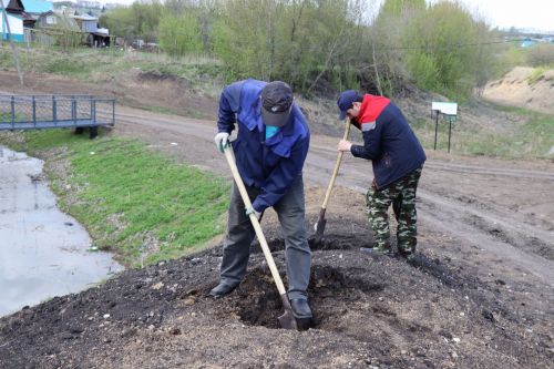 Около 500  молодых сосен и рябин посадили в Дрожжановском районе в рамках акции «Сад памяти»