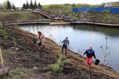 Около 500  молодых сосен и рябин посадили в Дрожжановском районе в рамках акции «Сад памяти»
