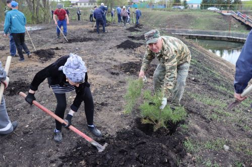 Около 500  молодых сосен и рябин посадили в Дрожжановском районе в рамках акции «Сад памяти»
