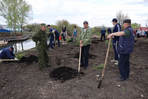 Около 500  молодых сосен и рябин посадили в Дрожжановском районе в рамках акции «Сад памяти»