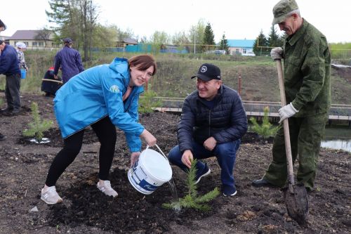 Около 500  молодых сосен и рябин посадили в Дрожжановском районе в рамках акции «Сад памяти»