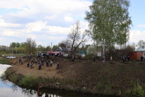 Около 500  молодых сосен и рябин посадили в Дрожжановском районе в рамках акции «Сад памяти»
