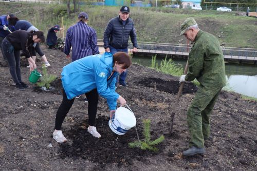 Около 500  молодых сосен и рябин посадили в Дрожжановском районе в рамках акции «Сад памяти»