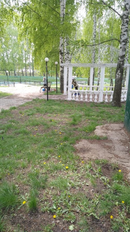 Дрожжановский парк выпускников готовится к последнему звонку 2023 года