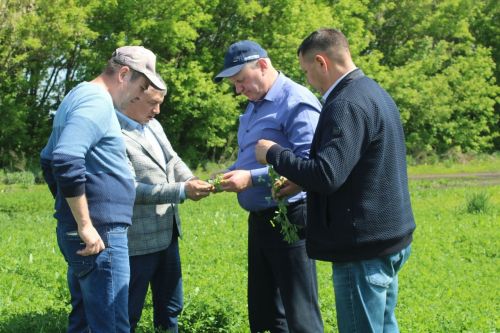 В Дрожжановском районе проверили готовность кормозаготовительной техники