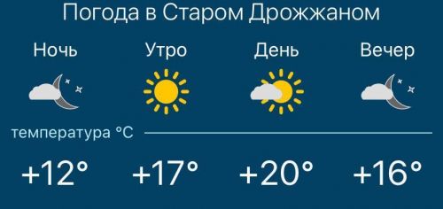 Погода на 29 мая в Дрожжановском районе