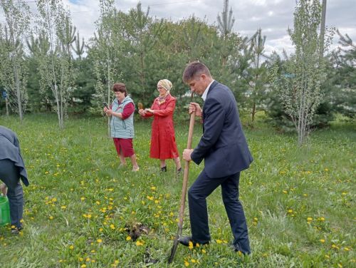 В селе Новые Какерли Дрожжановского района в школьном парке ко Дню Победы посадили деревья