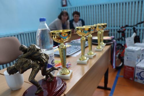 Уехала на велосипеде: Дрожжановский турнир по борьбе памяти Героя Советского Союза С.А Уганина состоялся
